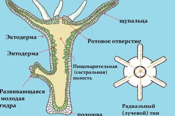 Браузер для кракен
