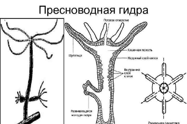 Кракен ссылка fo feng crmp ru