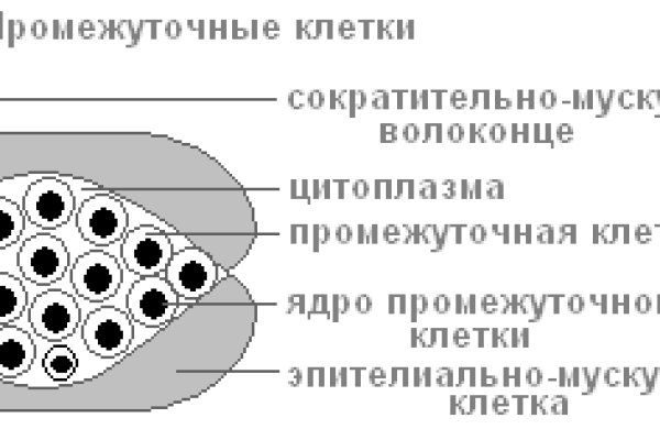 2krn сс что это