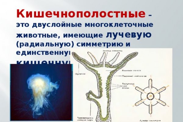 Кракен даркент