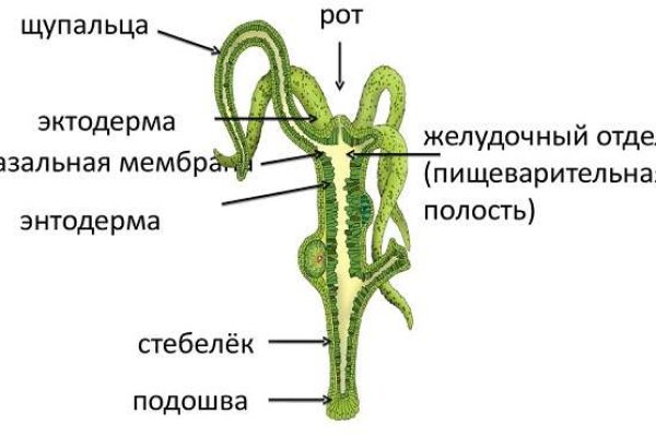 Ссылка на кракен kr2web in